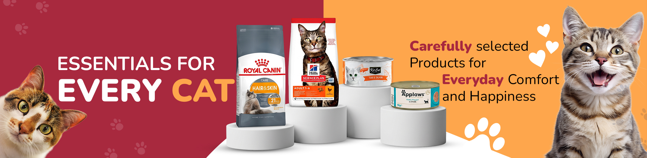 Cat-Hero-Banner